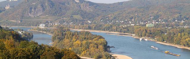 上門龍婿葉辰蕭初然_第50章 葉辰出手