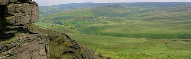 上門龍婿葉辰蕭初然_第572章 我要跟你離婚！