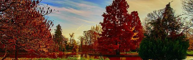 上門龍婿葉辰蕭初然_第3324章 十場！