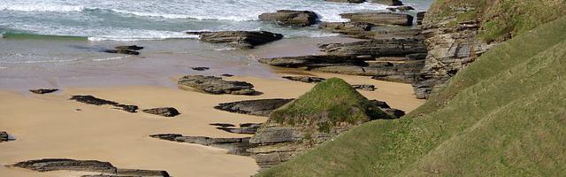 上門龍婿葉辰蕭初然_第788章 長纓！長纓！