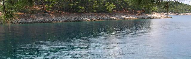 上門龍婿葉辰蕭初然_第1224章 金蟬脫殼