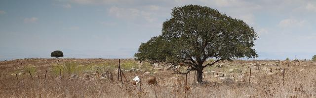 上門龍婿葉辰蕭初然_第2589章 真想今天就見他一面！
