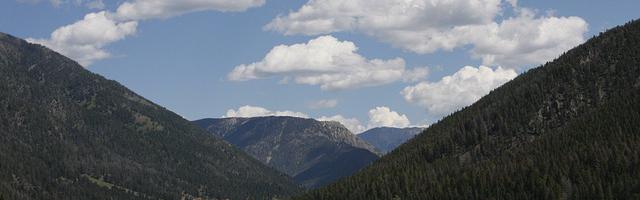 上門龍婿葉辰蕭初然_第543章 黑煤窯里的錢紅艷