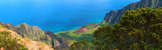 上門龍婿葉辰蕭初然_第191章 你給我滾出去！