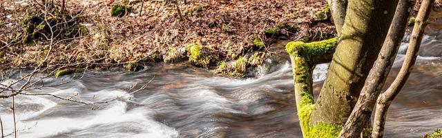上門龍婿葉辰蕭初然_第3150章 吃軟飯的老吊絲