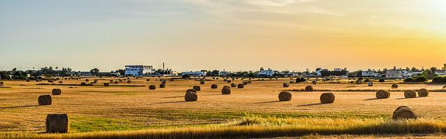 上門龍婿葉辰蕭初然_第3340章 阻擊！