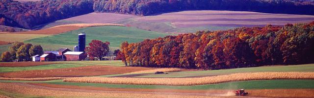 上門龍婿葉辰蕭初然_第31章 誰敢動她