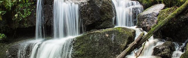 上門龍婿葉辰蕭初然_第2876章 走出去看一看