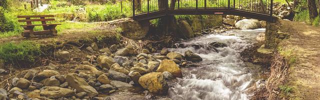 上門龍婿葉辰蕭初然_第716章 你不配