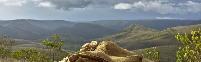 上門龍婿葉辰蕭初然_第3670章 沒任何后顧之憂