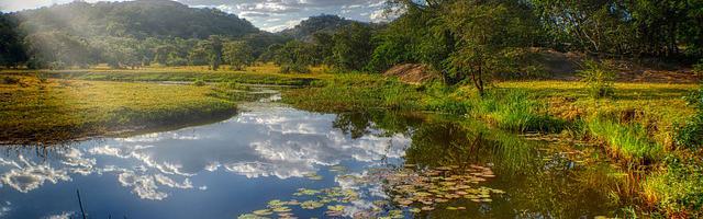 上門龍婿葉辰蕭初然_第2572章 不凡之處