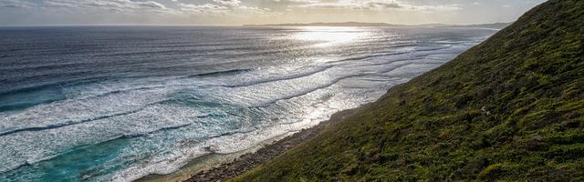 上門龍婿葉辰蕭初然_第3165章 是他擺了我一道