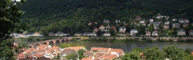 上門龍婿葉辰蕭初然_第14章 我是神級富豪