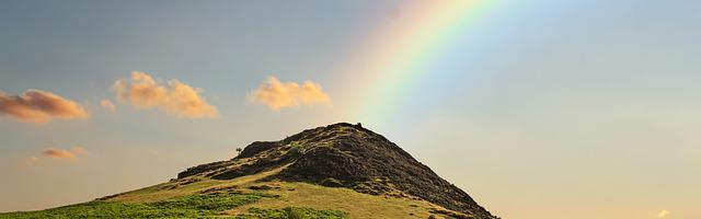 上門龍婿葉辰蕭初然_第3203章 各取所需、皆大歡喜