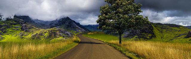 上門龍婿葉辰蕭初然_第137章 真正的龍婿！