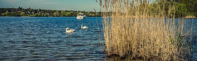 上門龍婿葉辰蕭初然_第3233章 卡薩布蘭卡