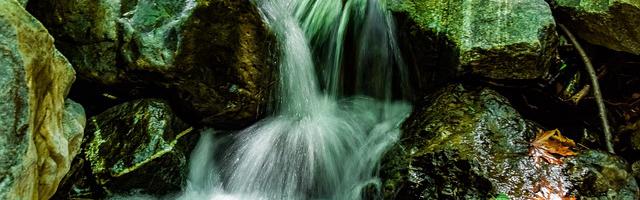 上門龍婿葉辰蕭初然_第319章 找上門來！