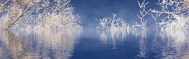 上門龍婿葉辰蕭初然_第168章 活得不耐煩了