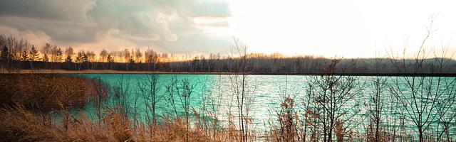 上門龍婿葉辰蕭初然_第2427章 天之驕子