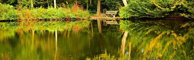 上門龍婿葉辰蕭初然_第2950章 發難！