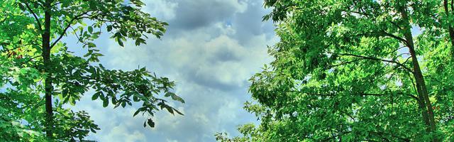 上門龍婿葉辰蕭初然_第2542章 拿什么翻身？